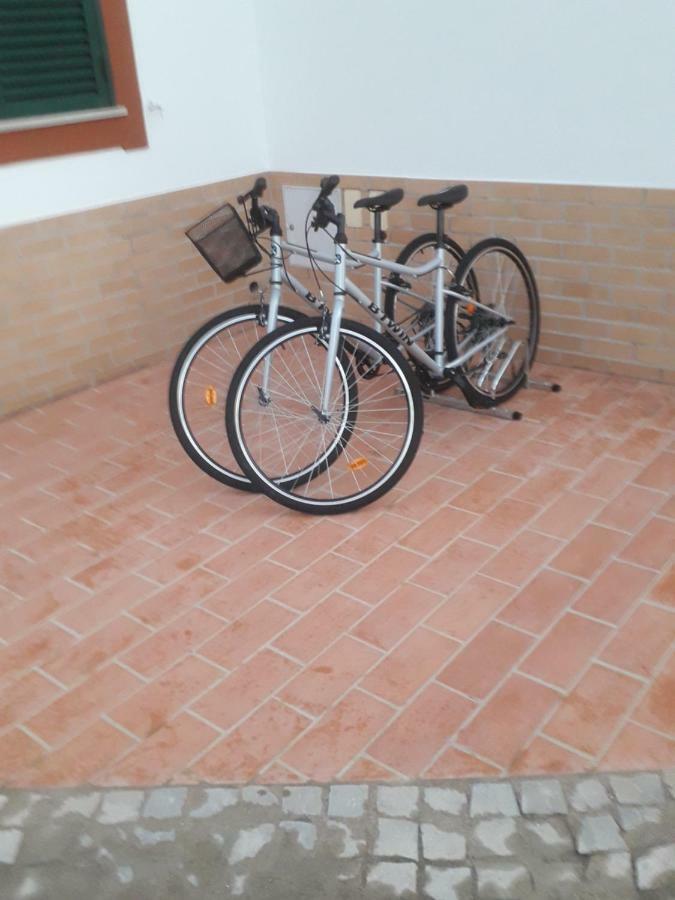 Alojamento Local Patudos, Suite Com Terraco Privado ตาวิรา ภายนอก รูปภาพ