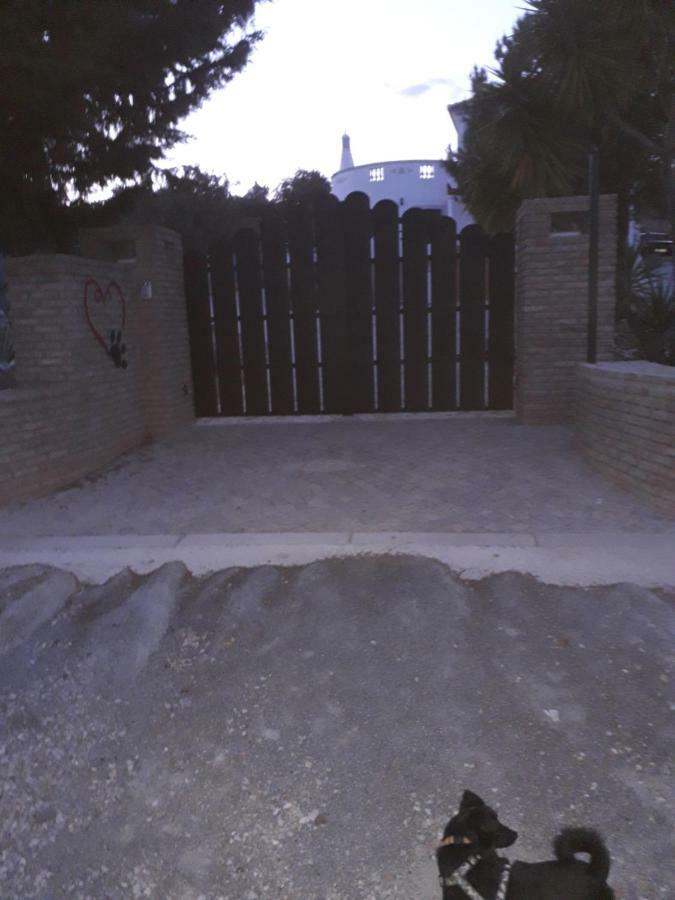 Alojamento Local Patudos, Suite Com Terraco Privado ตาวิรา ภายนอก รูปภาพ